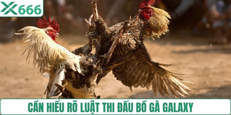 Người chơi cần hiểu rõ luật bồ gà tại Galaxy