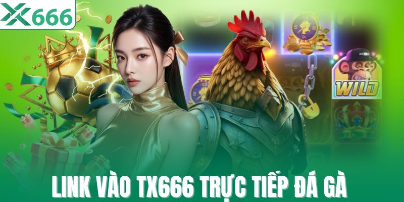 Link vào TX666 trực tiếp đá gà mỗi ngày