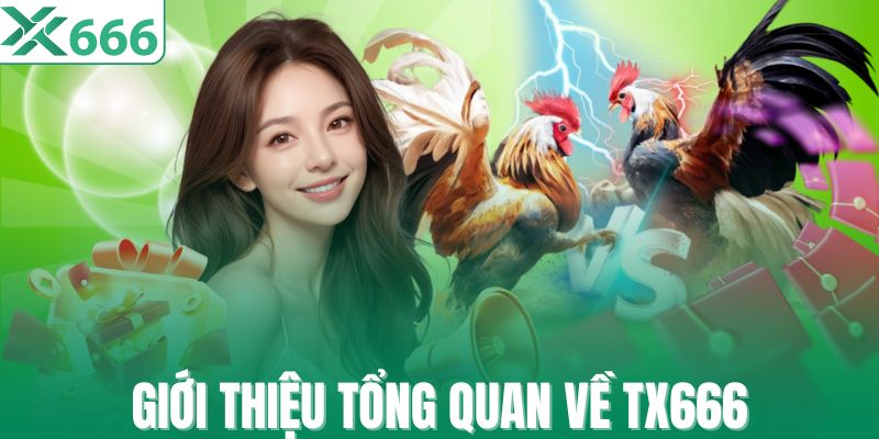 Giới thiệu tổng quan về TX666